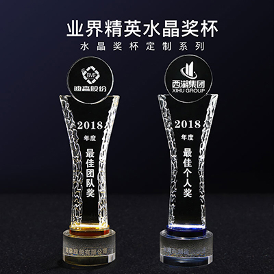 世界精英水晶奖杯-265